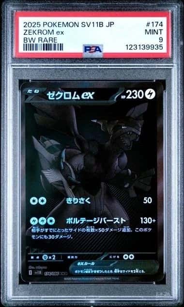 ZEKROM ex