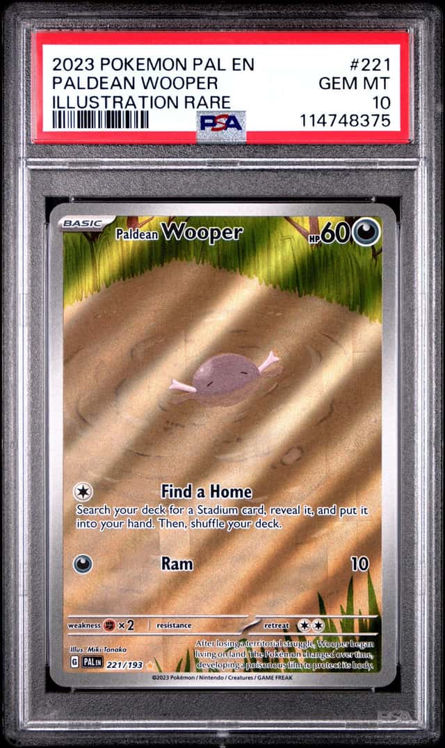 Paldean Wooper