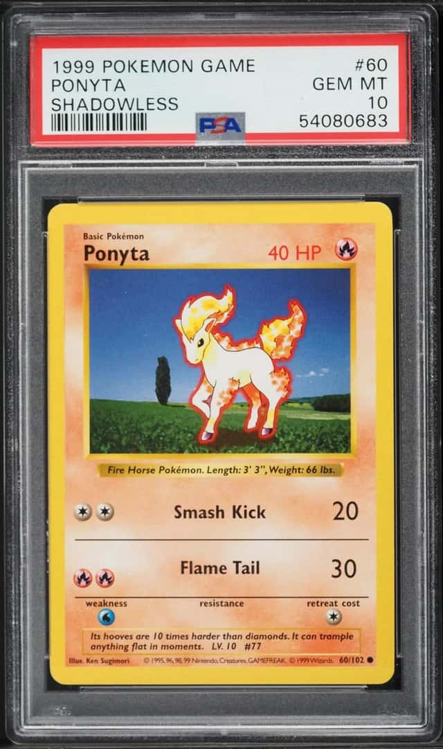 Ponyta