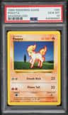 Ponyta