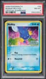 Mudkip