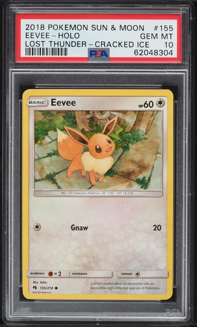 Eevee