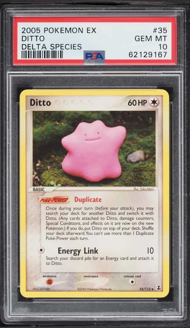 Ditto