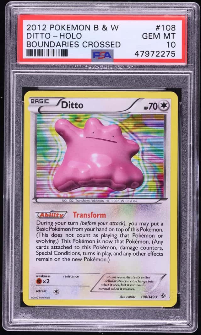 Ditto