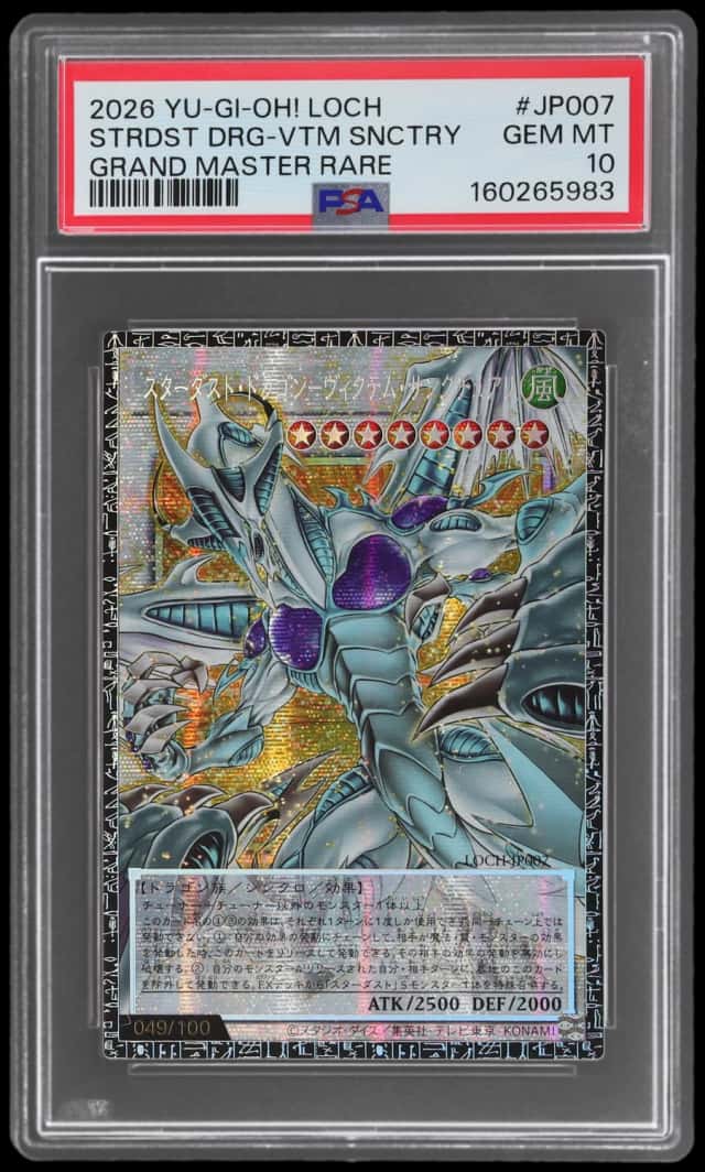 Stardust Dragon - Victim Sanctuary