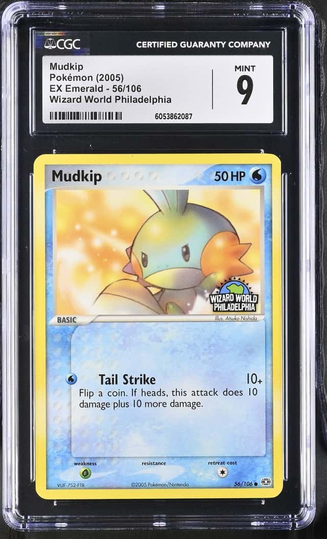 Mudkip