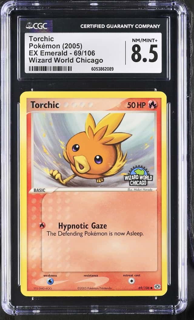 Torchic