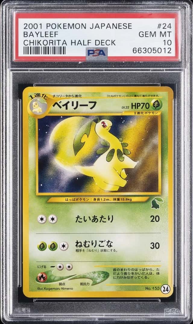 Bayleef