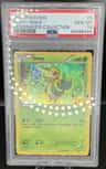 Snivy