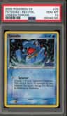 Totodile