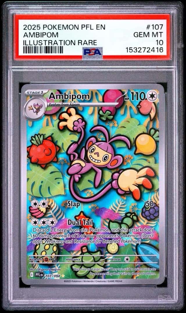 Ambipom