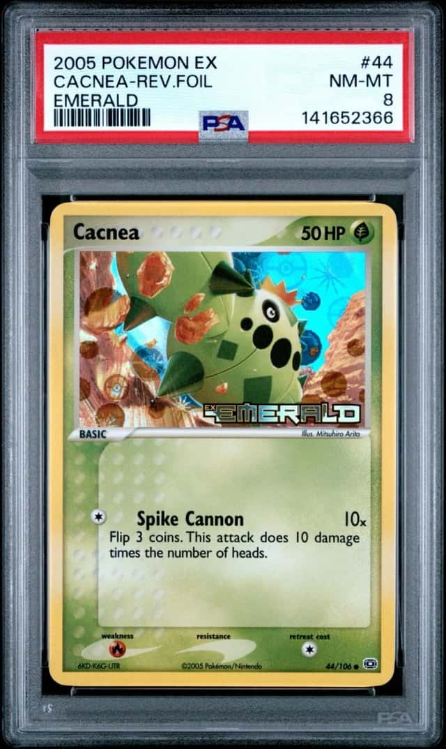Cacnea