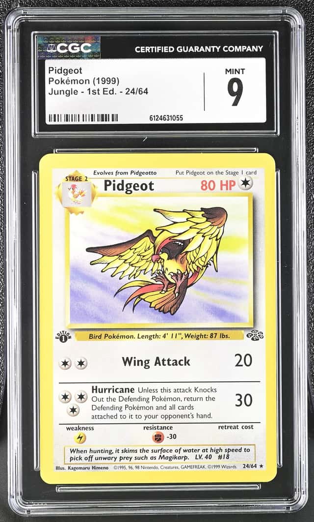 Pidgeot