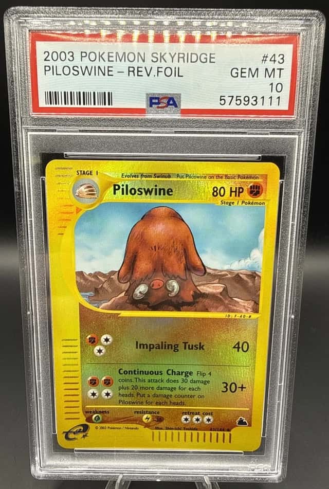 Piloswine