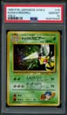 Koga'S Beedrill