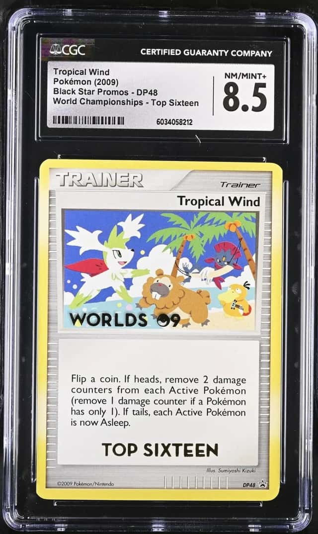 Tropical Wind