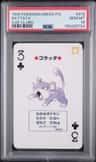 Rattata