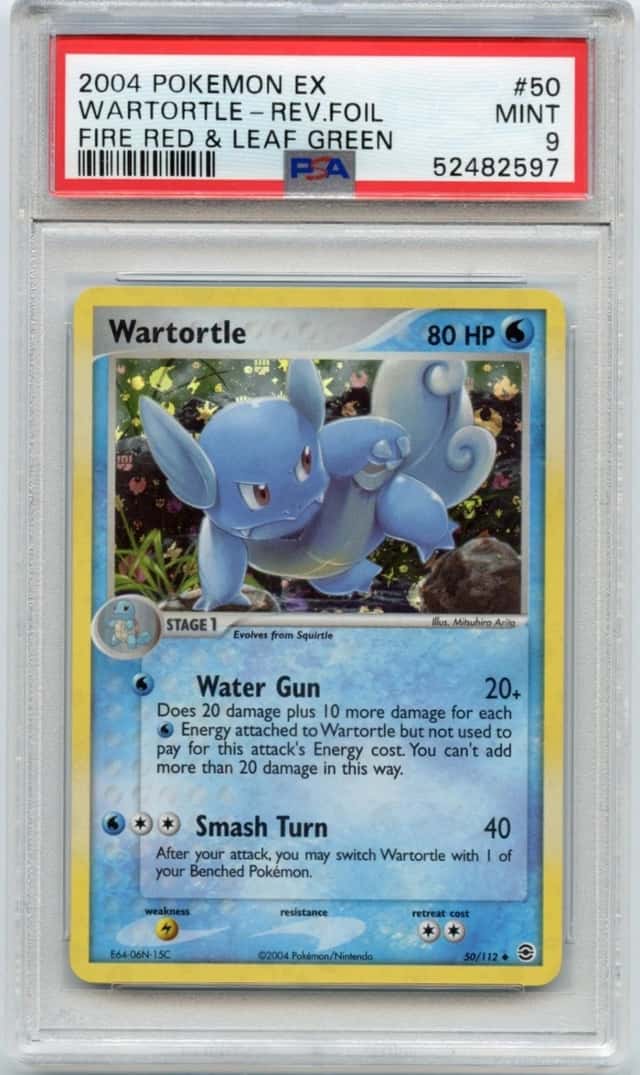 Wartortle