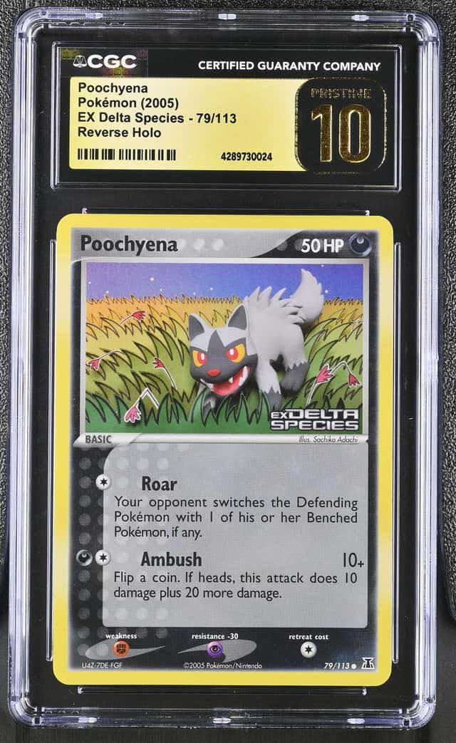 Poochyena