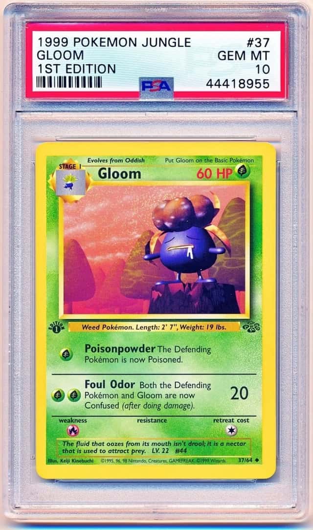Gloom