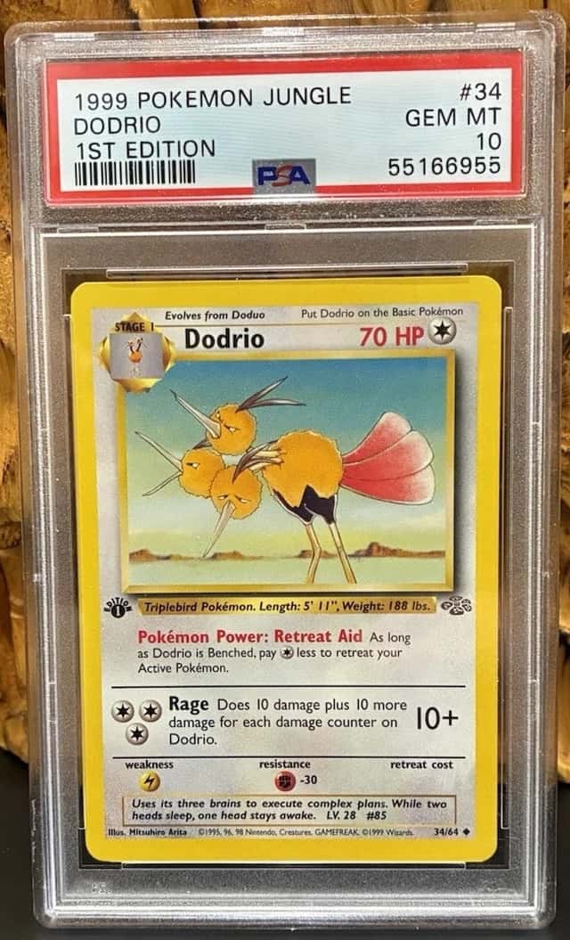 Dodrio