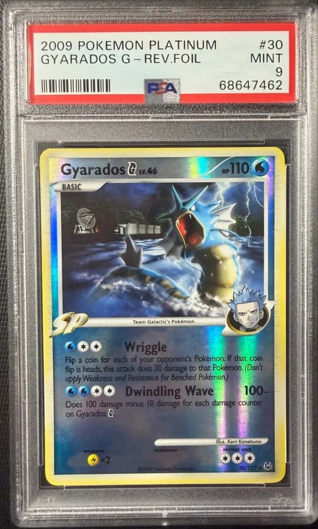 Gyarados G