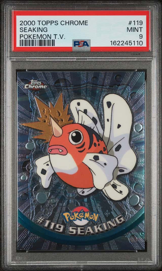 Seaking