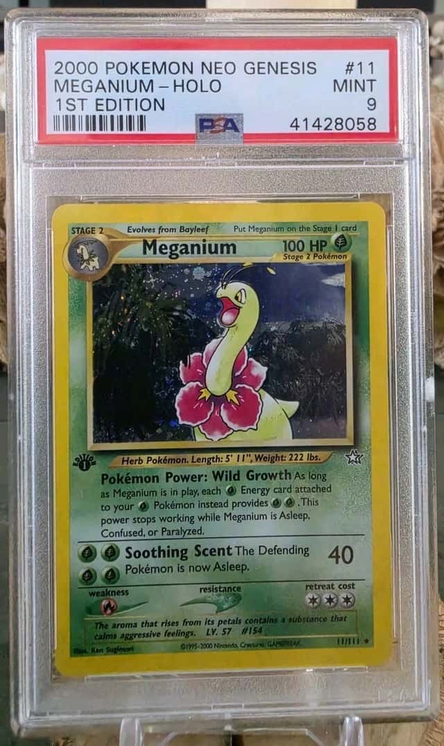 Meganium