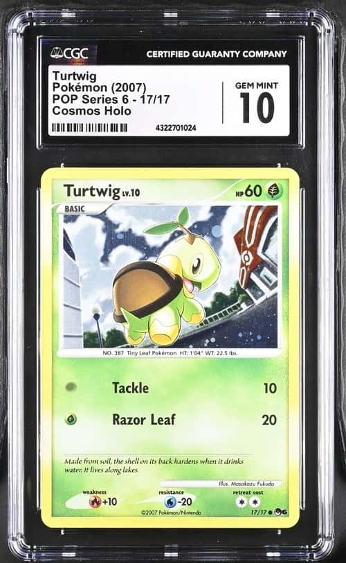 Turtwig