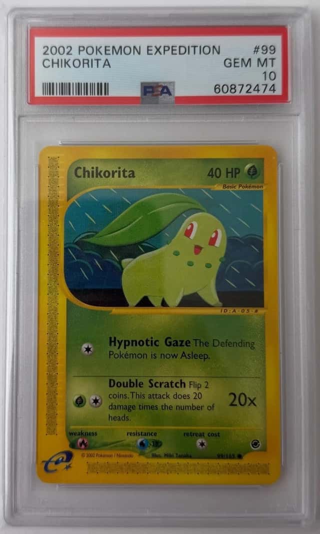 Chikorita