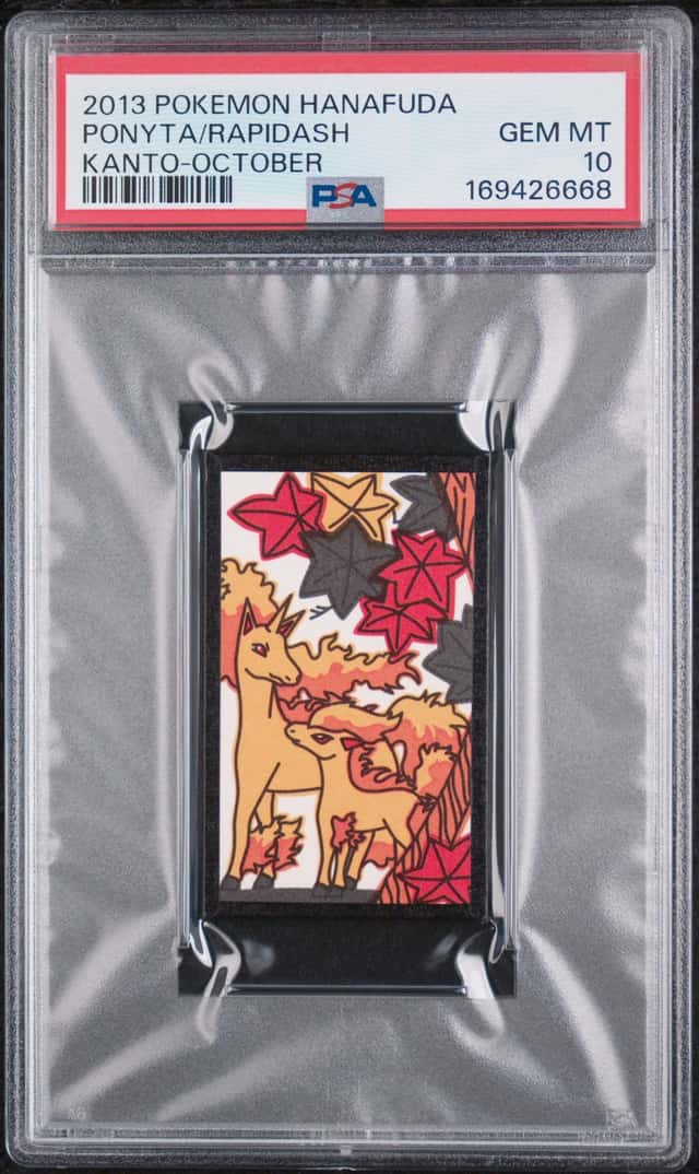 Ponyta/Rapidash