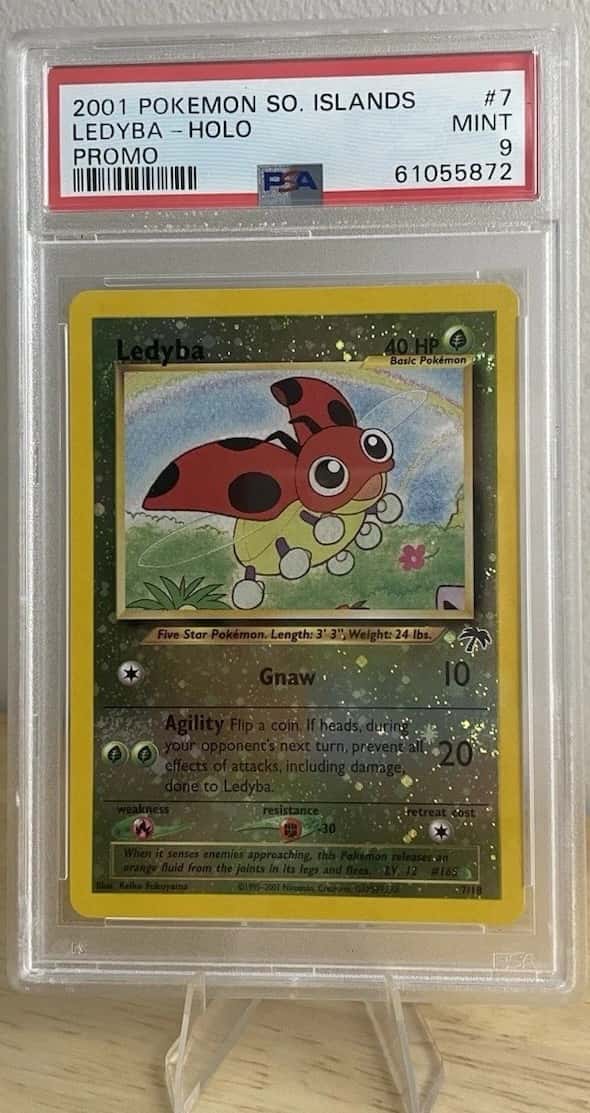 Ledyba