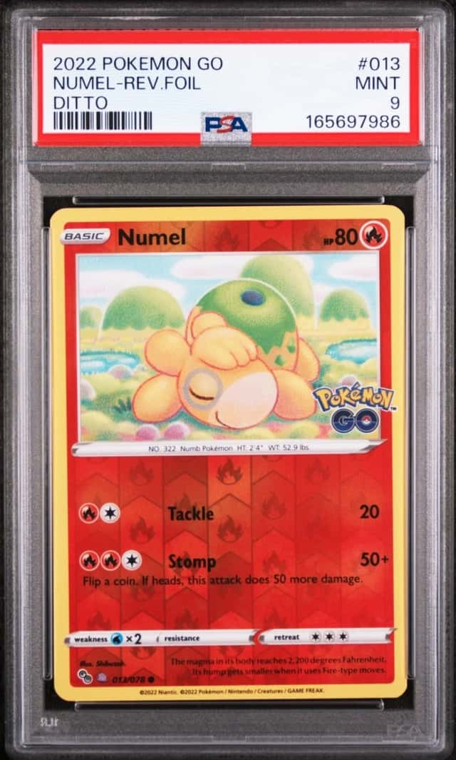 Numel (Ditto)