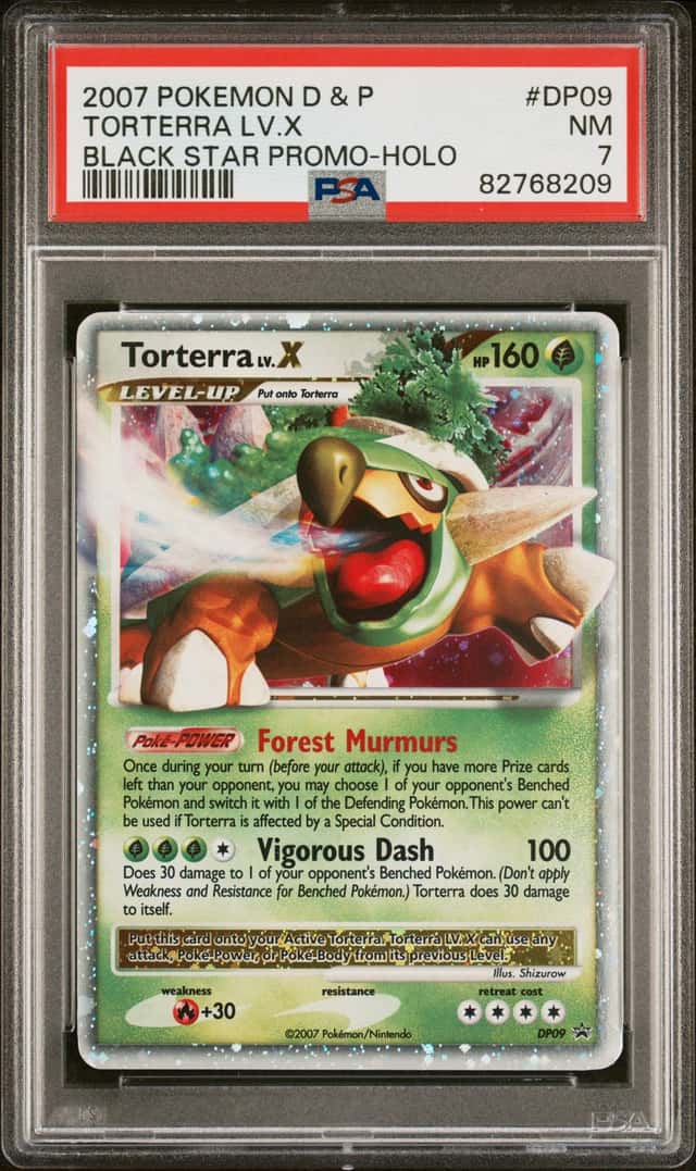 TORTERRA LV.X