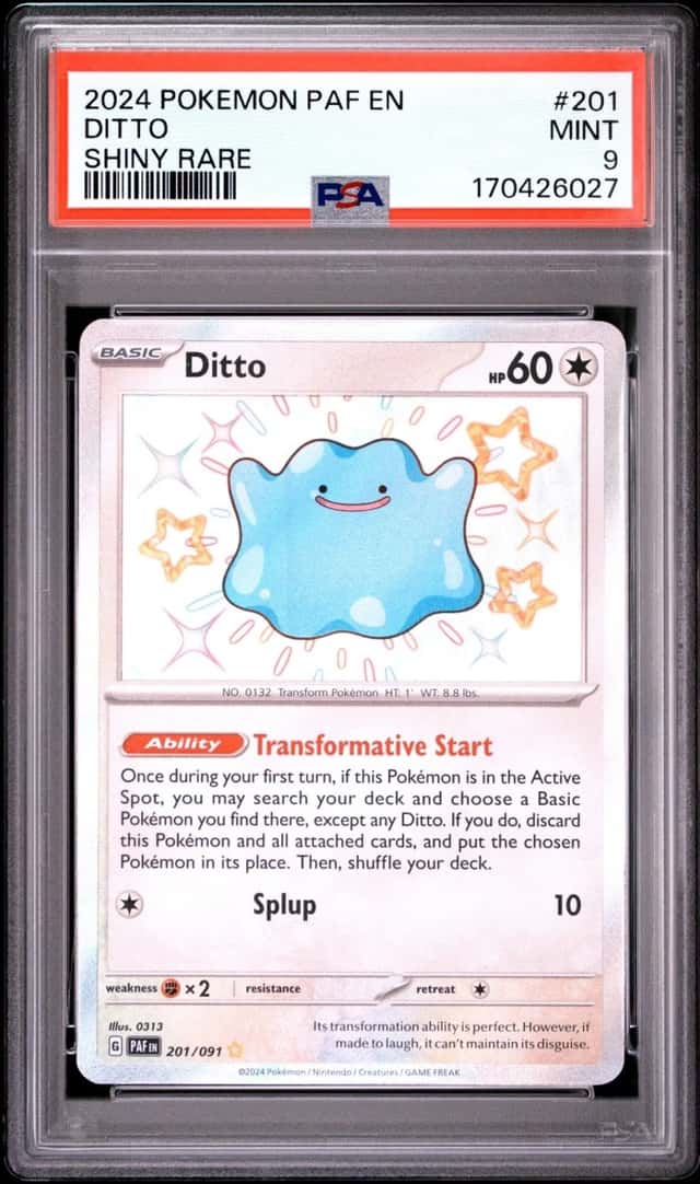 Ditto
