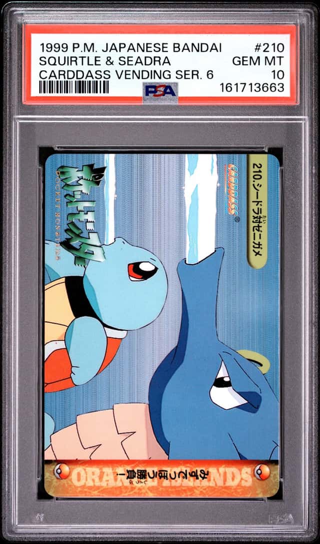 Squirtle & Seadra