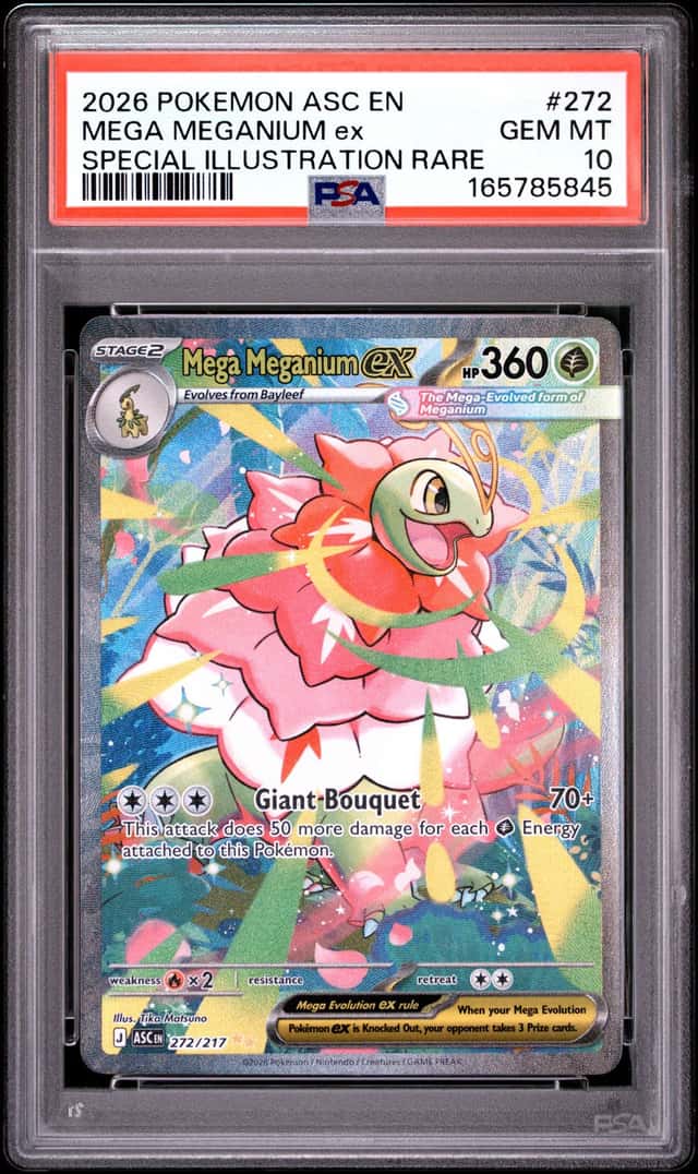 MEGA MEGANIUM ex