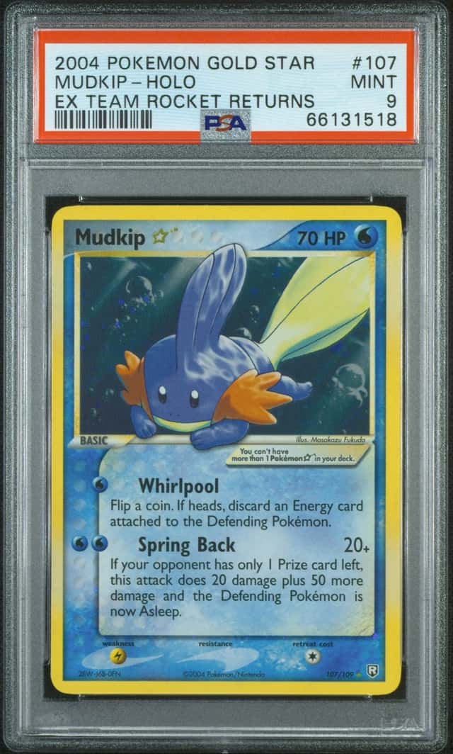 Mudkip