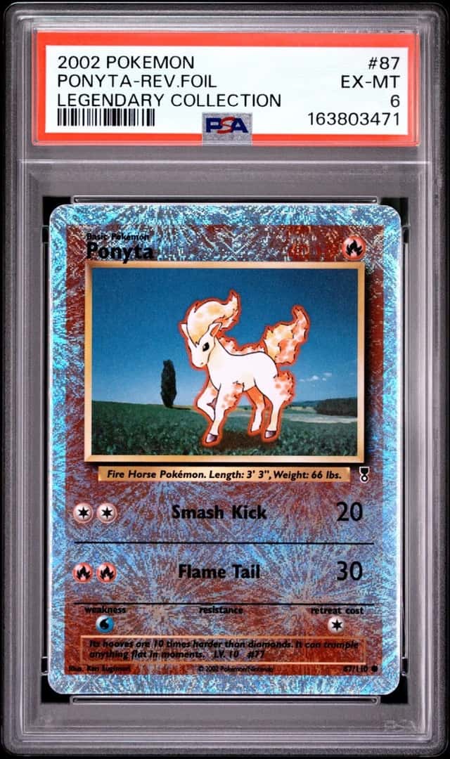 Ponyta