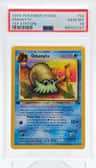 Omanyte