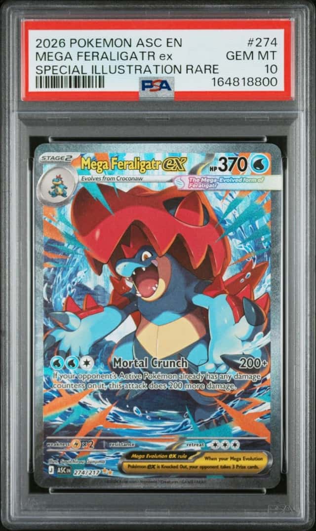MEGA FERALIGATR ex