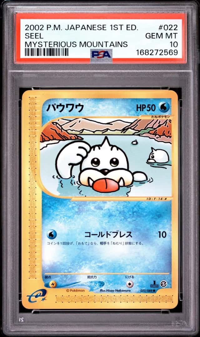 Seel