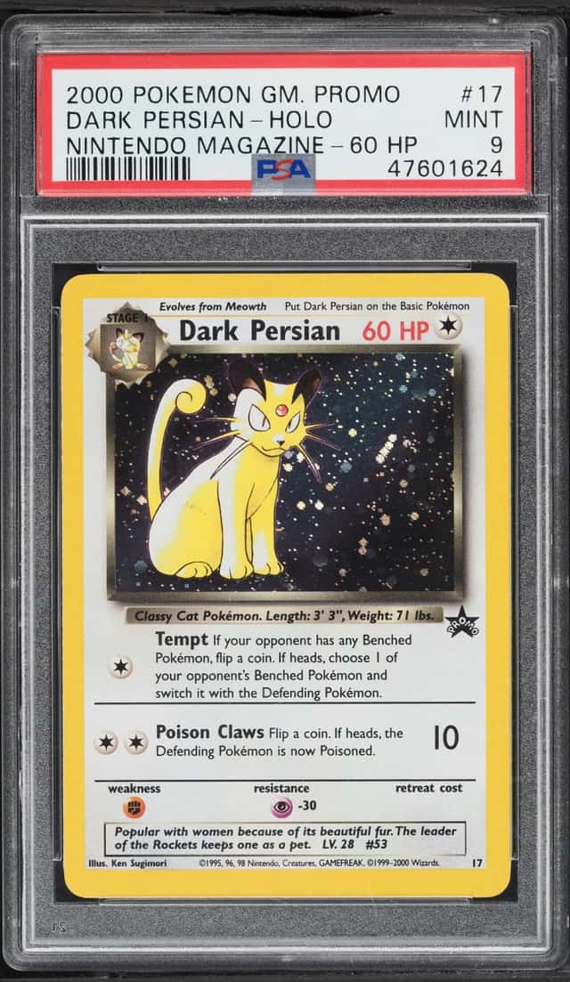 Dark Persian