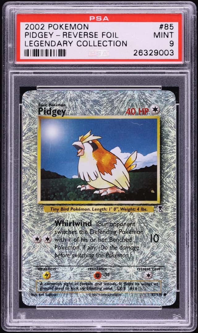 Pidgey