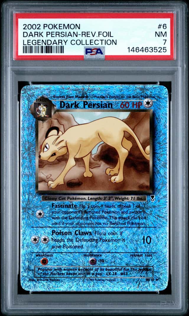 Dark Persian