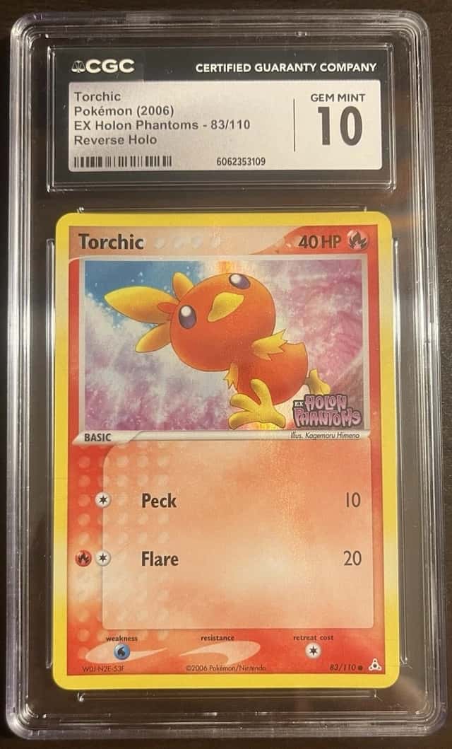 Torchic