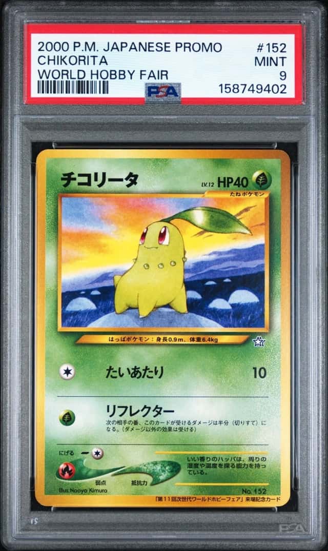 Chikorita