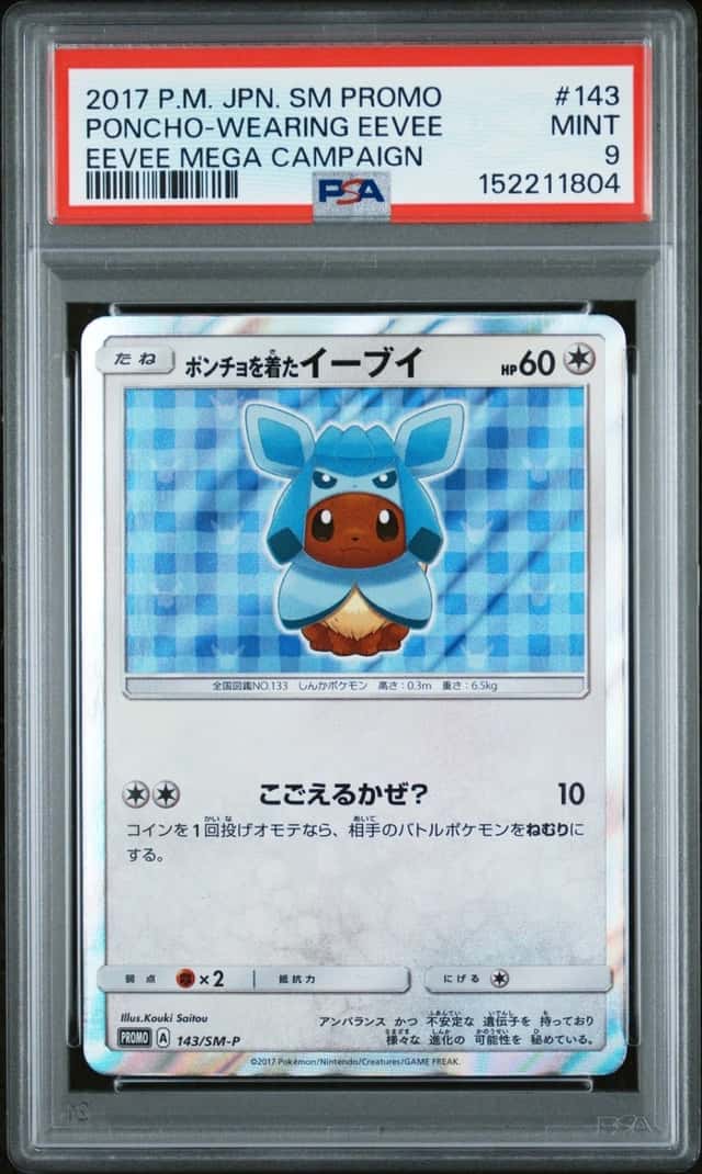 Poncho-Wearing Eevee