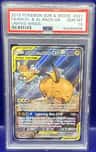 Raichu & Alolan Raichu Gx