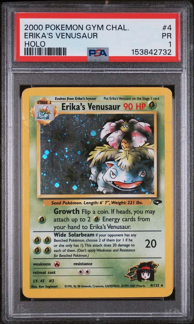 Erika's Venusaur